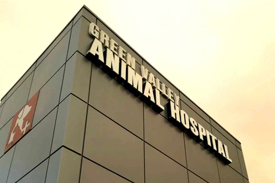 The Green Valley Animal Hospital building on Mountain Vista Street